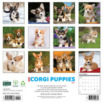 2027 Just Corgi Puppies Wall Calendar 12X12 20 9781549259838_c49e33ae-9df9-4566-9d04-eb16606ae6c8