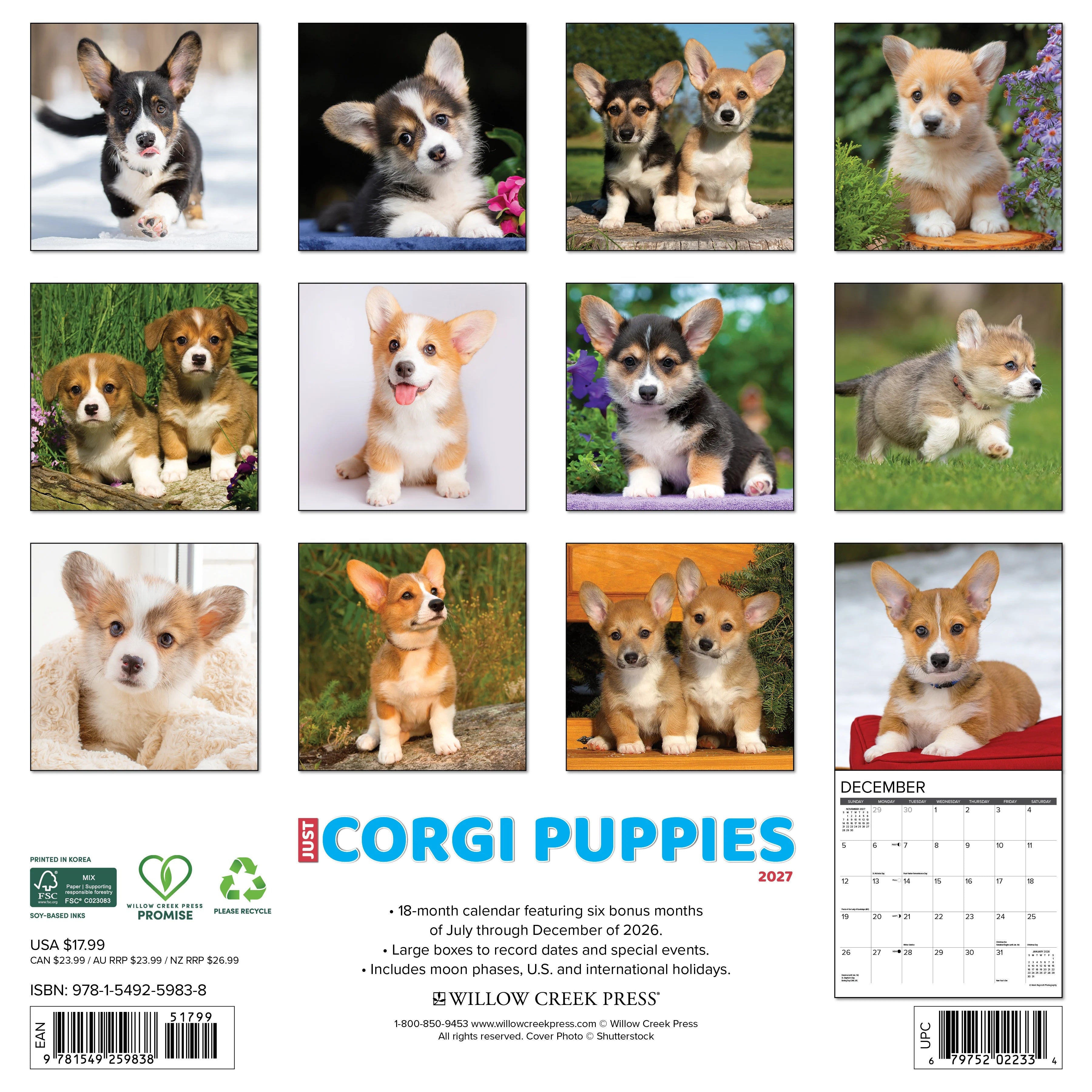 2027 Just Corgi Puppies Wall Calendar 12X12 20 9781549259838_c49e33ae-9df9-4566-9d04-eb16606ae6c8