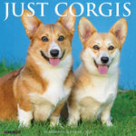2027 Just Corgis Wall Calendar 12X12 20 9781549259852