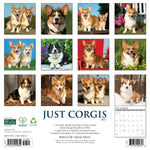 2027 Just Corgis Wall Calendar 12X12 20 9781549259852_e5dd6661-99cd-45b9-9895-4abd5c68ead6
