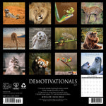 2027 Demotivationals Given Wall Calendar 12X12 20 9781549259999_6101eefa-1d0b-44c8-9860-f2b69fda6049