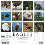 2027 Eagles Wall Calendar 12X12 20 9781549260087_af08513b-3f75-48f7-bb76-028a614c2b82