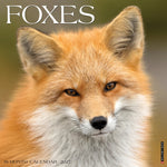 2027 Foxes Wall Calendar 12X12 20 9781549260278
