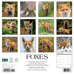 2027 Foxes Wall Calendar 12X12 20 9781549260278_d0e8a5a2-22c2-49e0-902d-b523c9fd560c