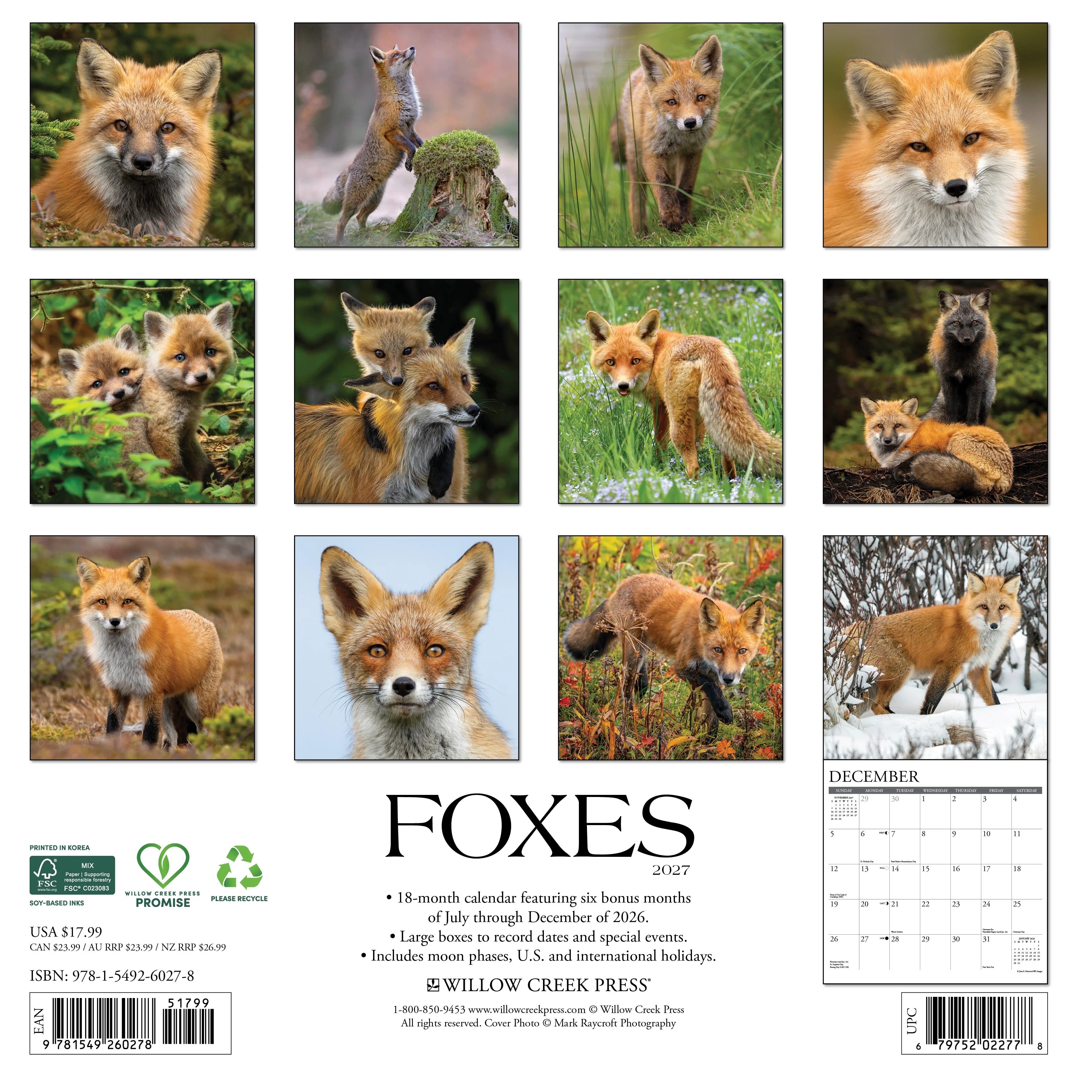 2027 Foxes Wall Calendar 12X12 20 9781549260278_d0e8a5a2-22c2-49e0-902d-b523c9fd560c