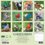 2027 Garden Birds of North America Wall Calendar 12X12 20 9781549260315_3f95b322-9d21-4ed3-b832-a1b05e2a8938