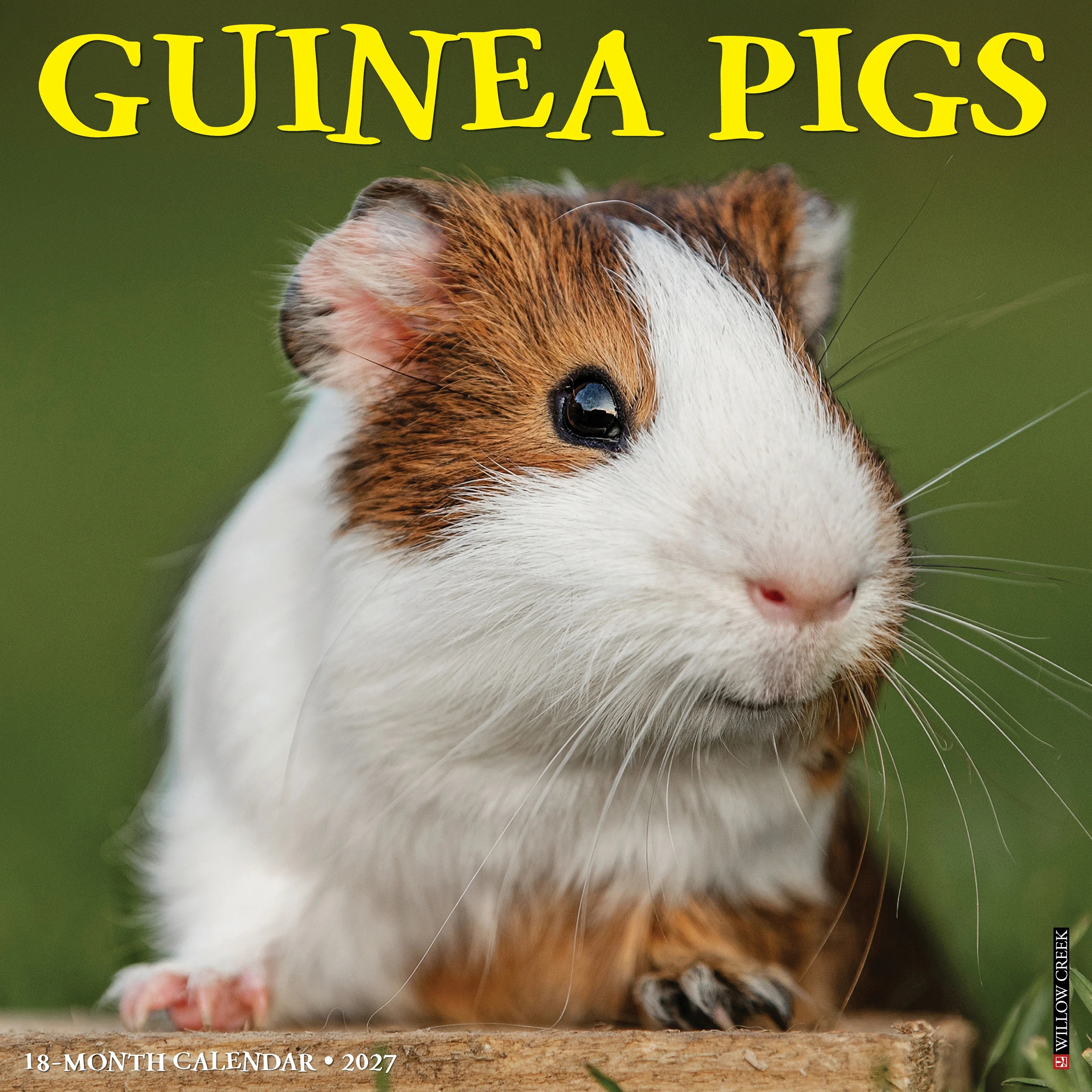 2027 Guinea Pigs Wall Calendar 12X12 20 9781549260582