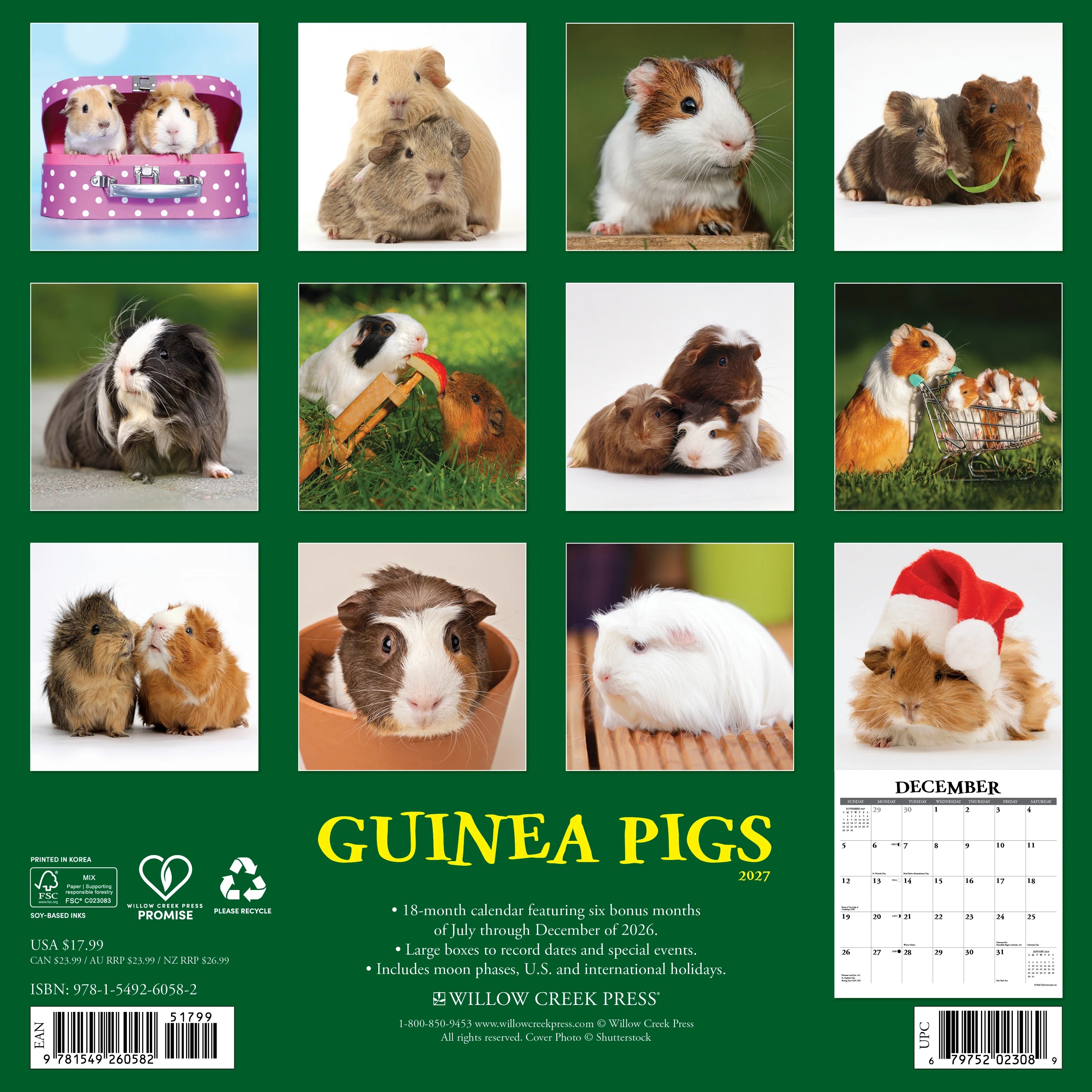 2027 Guinea Pigs Wall Calendar 12X12 20 9781549260582_3ad31ab7-a36e-4241-8993-0a3f17e3df6d