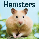 2027 Hamsters Wall Calendar 12X12 20 9781549260612