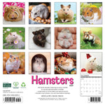 2027 Hamsters Wall Calendar 12X12 20 9781549260612_3403d2e7-2c90-4e84-bd6d-43bbed13ac44