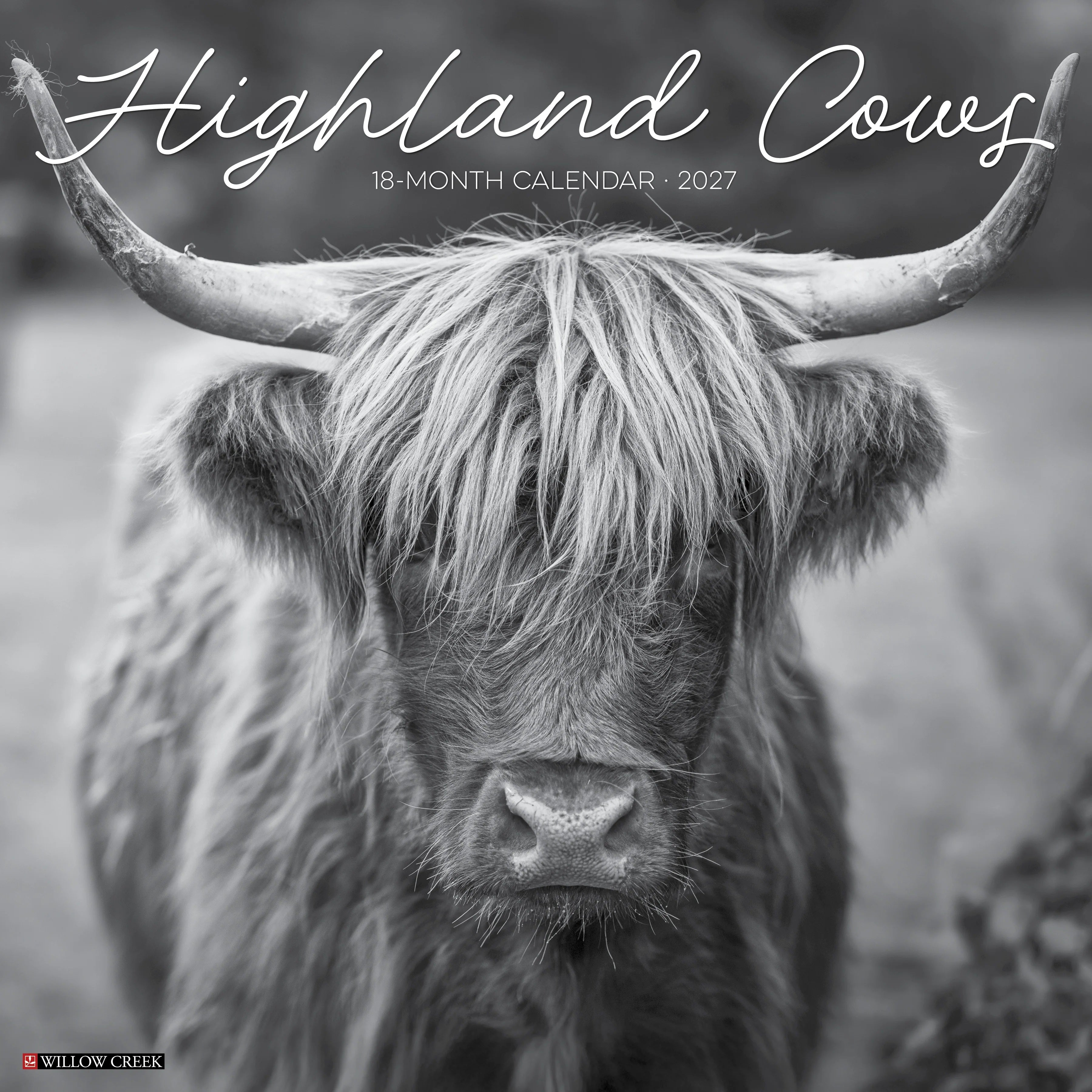 2027 Highland Cows (black & White) Wall Calendar 12X12 20 9781549260674