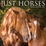 2027 Just Horses Wall Calendar 12X12 20 9781549260704