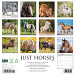 2027 Just Horses Wall Calendar 12X12 20 9781549260704_4bf1a35a-6be6-4d78-acc7-5b7df130270b