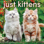 2027 Just Kittens Wall Calendar 12X12 20 9781549260933