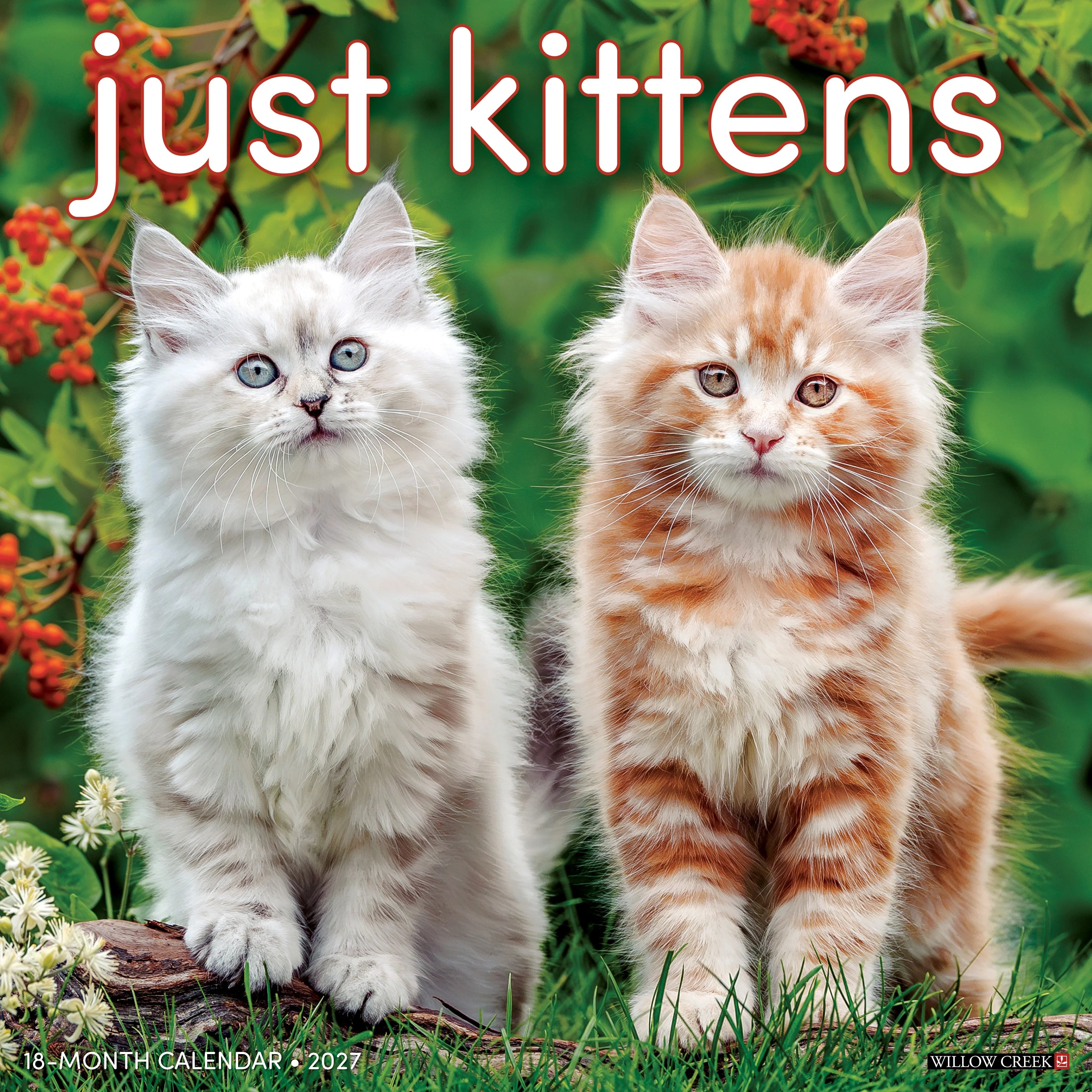 2027 Just Kittens Wall Calendar 12X12 20 9781549260933