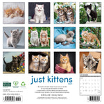 2027 Just Kittens Wall Calendar 12X12 20 9781549260933_4c5572a0-9d4a-431c-b866-f247ac2f564f