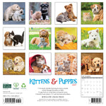 2027 Kittens & Puppies Wall Calendar 12X12 20 9781549260940_7ba01312-b316-47f5-a315-116e22bad09b