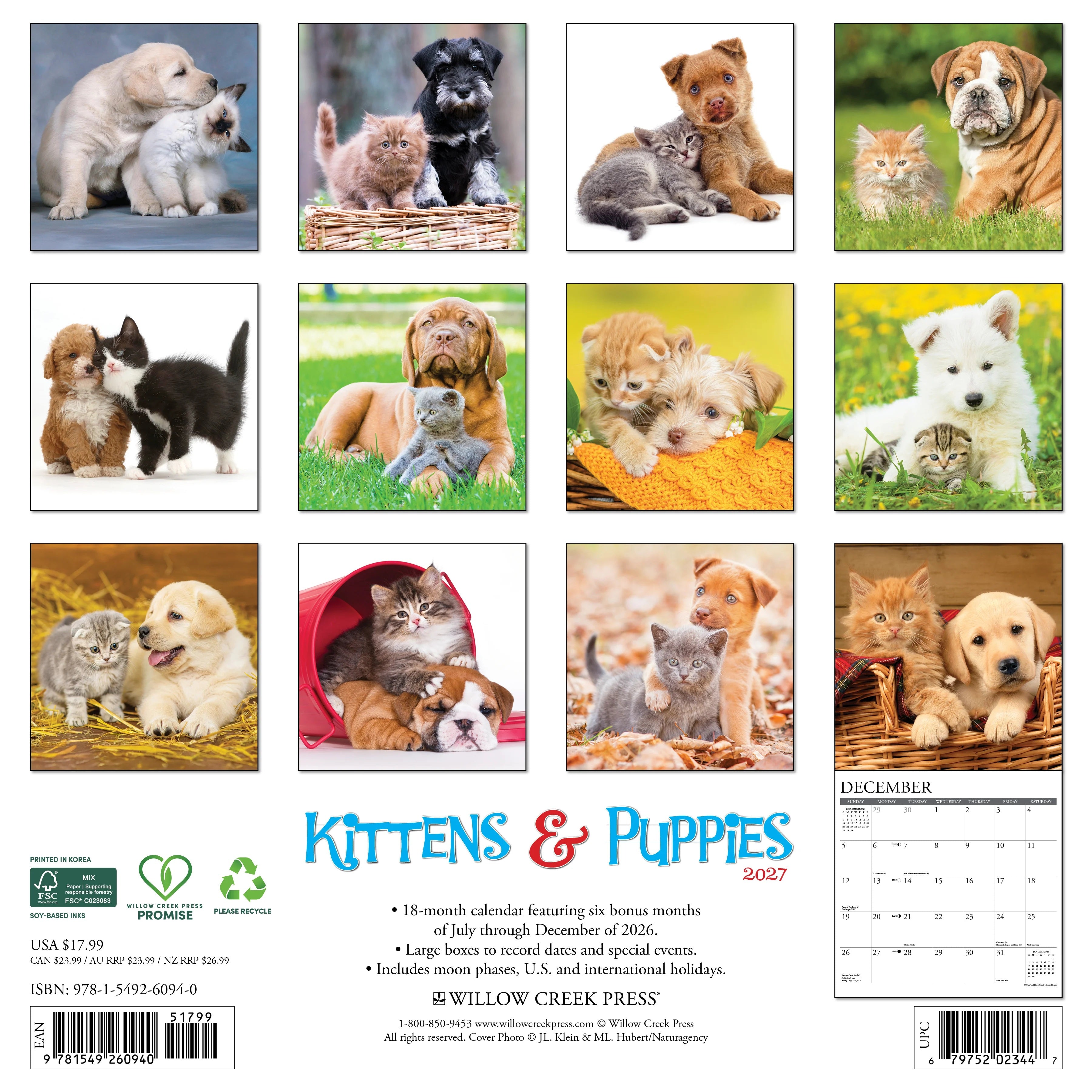 2027 Kittens & Puppies Wall Calendar 12X12 20 9781549260940_7ba01312-b316-47f5-a315-116e22bad09b