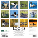 2027 Loons Wall Calendar 12X12 20 9781549261107_049112fa-e14e-4834-9460-2e3616be89e6