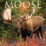 2027 Moose Wall Calendar 12X12 20 9781549261329