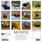 2027 Moose Wall Calendar 12X12 20 9781549261329_13ac8cdf-19d6-4c21-b691-83ea38132a26