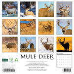 2027 Guinea Pigs Wall Calendar 12X12 20 9781549261350_8cf73c9f-7323-4fe1-a9a4-ad360439803a