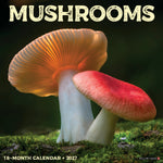 2027 Mushrooms Wall Calendar 12X12 20 9781549261374