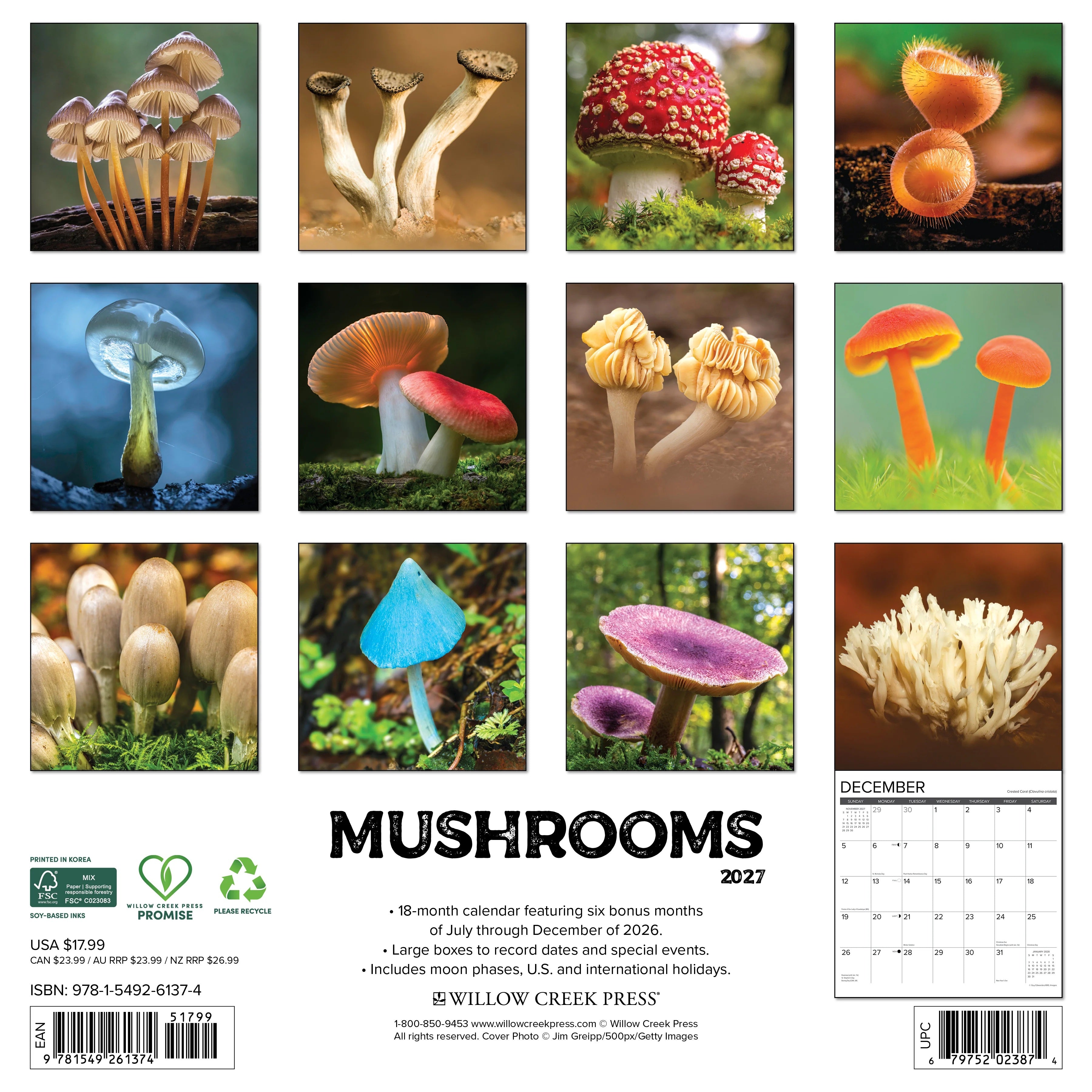 2027 Mushrooms Wall Calendar 12X12 20 9781549261374_a03d601d-163b-4309-b673-bbf51c44b45a