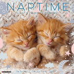 2027 Naptime: a Cat's Favorite Pasttime Wall Calendar 12X12 20 9781549261404