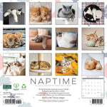 2027 Naptime: a Cat's Favorite Pasttime Wall Calendar 12X12 20 9781549261404_19b8942a-5441-4a68-baad-53669a00294b