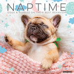 2027 Naptime: Dogs on Their Best Behavior Wall Calendar 12X12 20 9781549261411
