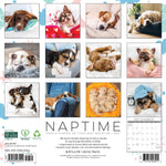 2027 Naptime: Dogs on Their Best Behavior Wall Calendar 12X12 20 9781549261411_2de4c853-bda8-4526-9fec-ec6e25524b3b