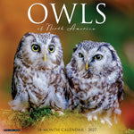 2027 Owls of North America Wall Calendar 12X12 20 9781549261664