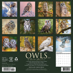 2027 Owls of North America Wall Calendar 12X12 20 9781549261664_d493d09e-b044-46f0-b240-a988cb552290