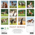 2027 Paint Horses Wall Calendar 12X12 20 9781549261695_70472c90-4678-45de-9276-36f5f47cefe5