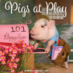 2027 Pigs at Play Wall Calendar 12X12 20 9781549261800