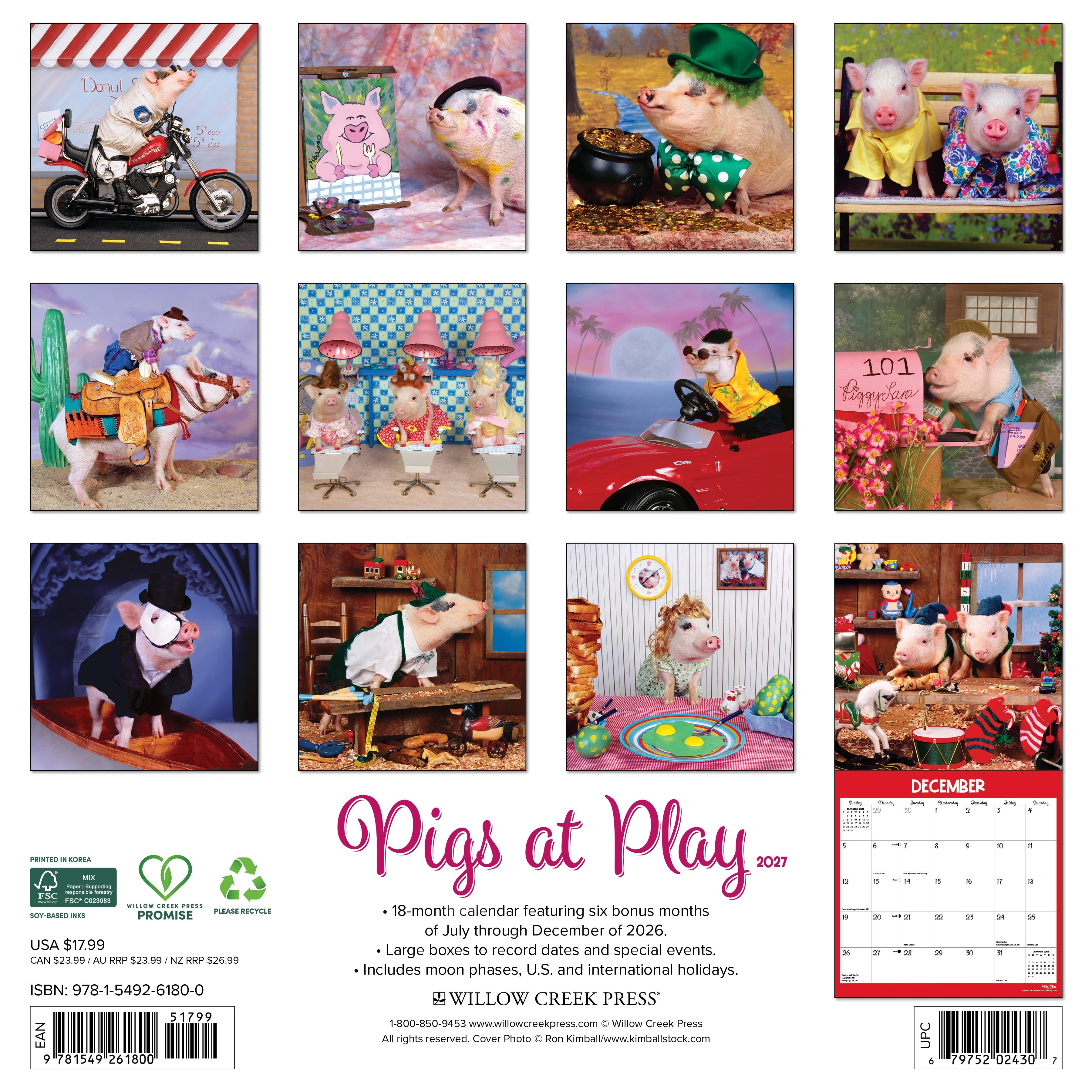 2027 Pigs at Play Wall Calendar 12X12 20 9781549261800_0c26b613-d22f-4c76-9f15-8808c61cf25f