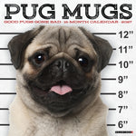 2027 Pug Mugs Wall Calendar 12X12 20 9781549261923