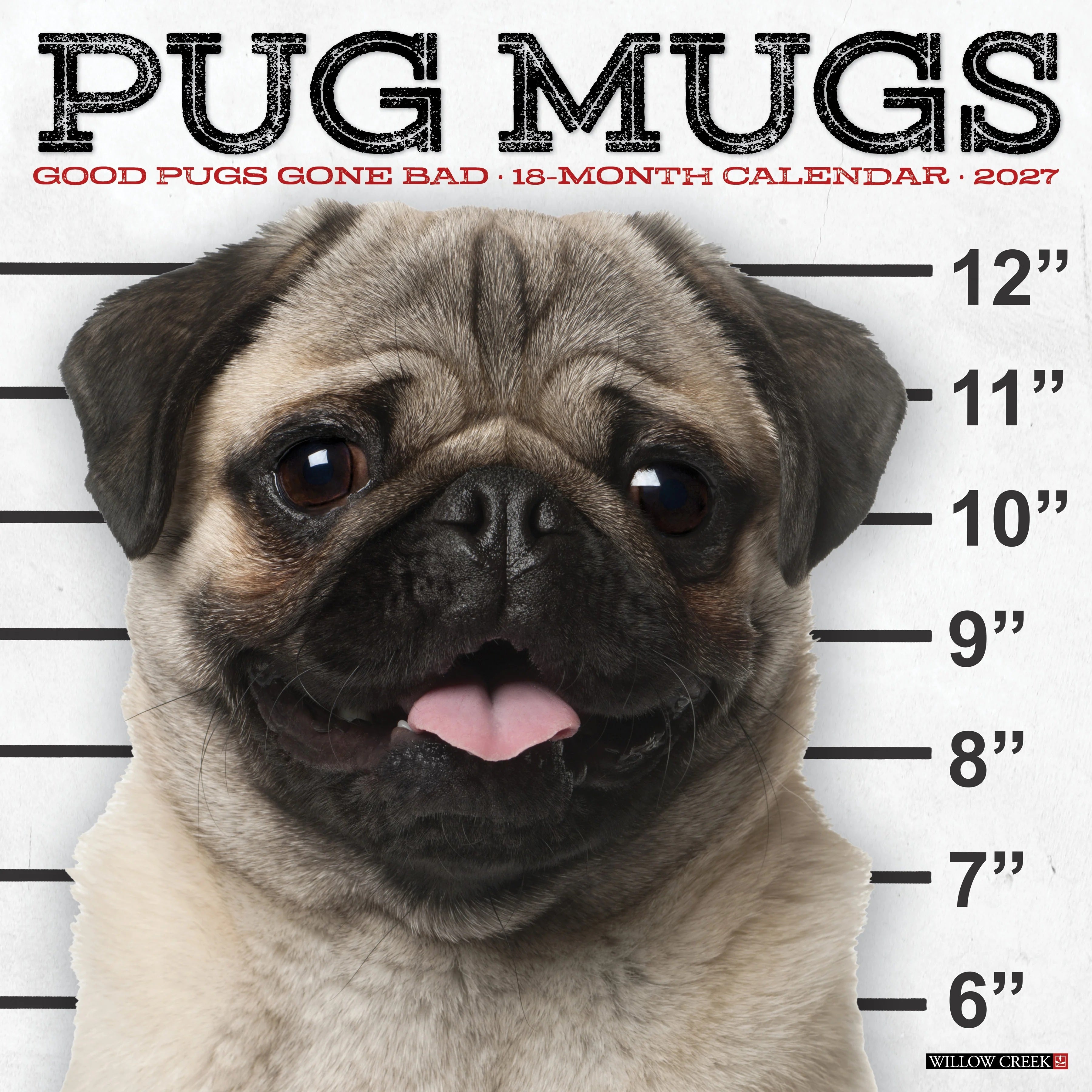 2027 Pug Mugs Wall Calendar 12X12 20 9781549261923
