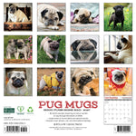 2027 Pug Mugs Wall Calendar 12X12 20 9781549261923_16fa4219-b710-40ef-aea4-92a8ce44ad4e