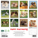 2027 Puppy Playmates Wall Calendar 12X12 20 9781549261961_e72c8000-047d-4f26-a66a-5810f0b25e77