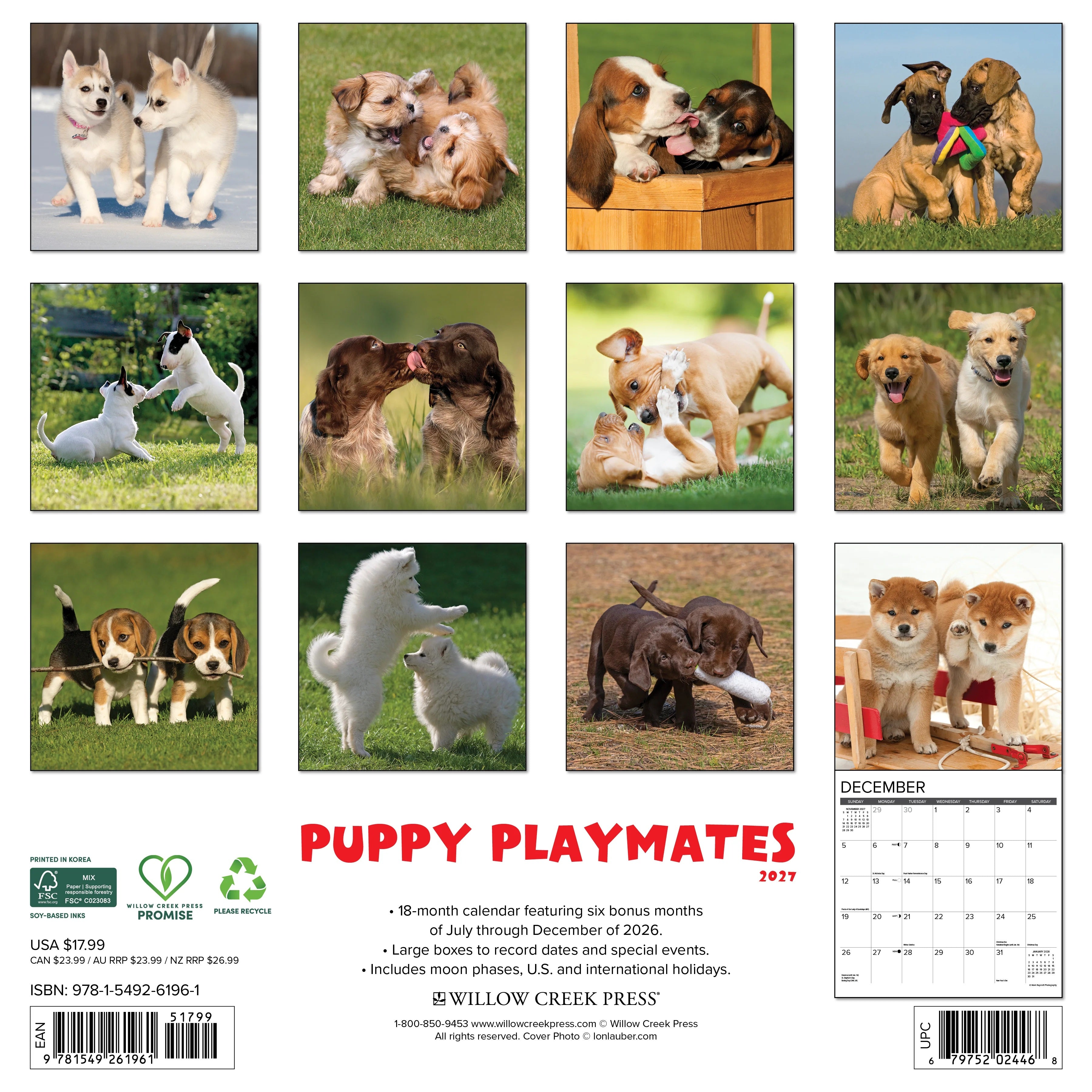 2027 Puppy Playmates Wall Calendar 12X12 20 9781549261961_e72c8000-047d-4f26-a66a-5810f0b25e77