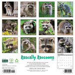 2027 Rascally Raccoons Wall Calendar 12X12 20 9781549262029_50b70a8e-5e42-412b-844d-a51430300712