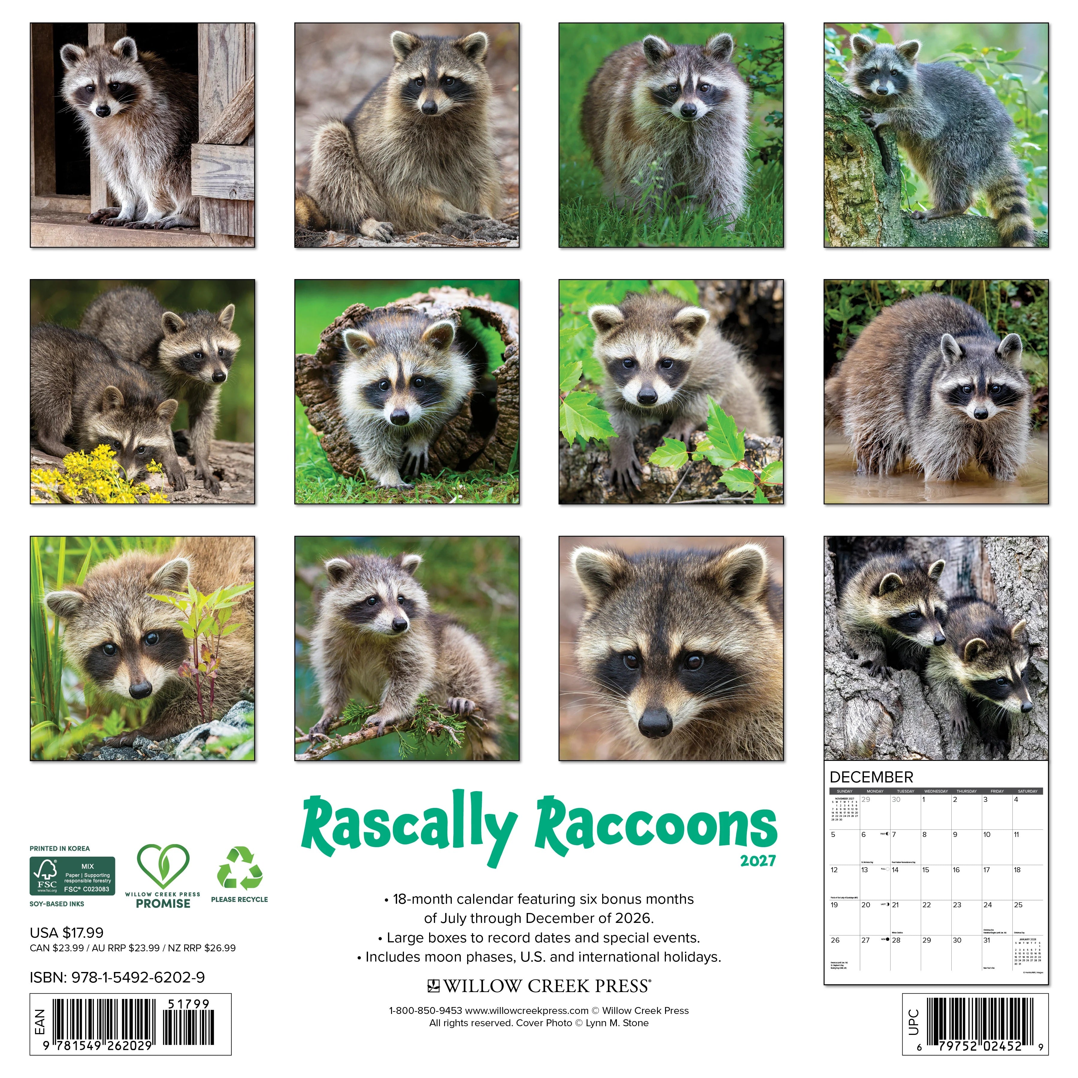 2027 Rascally Raccoons Wall Calendar 12X12 20 9781549262029_50b70a8e-5e42-412b-844d-a51430300712