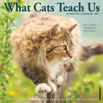 2027 What Cats Teach Us Wall Calendar 12X12 20 9781549262883