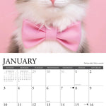 2027 What Cats Teach Us Wall Calendar 12X12 20 9781549262883_1