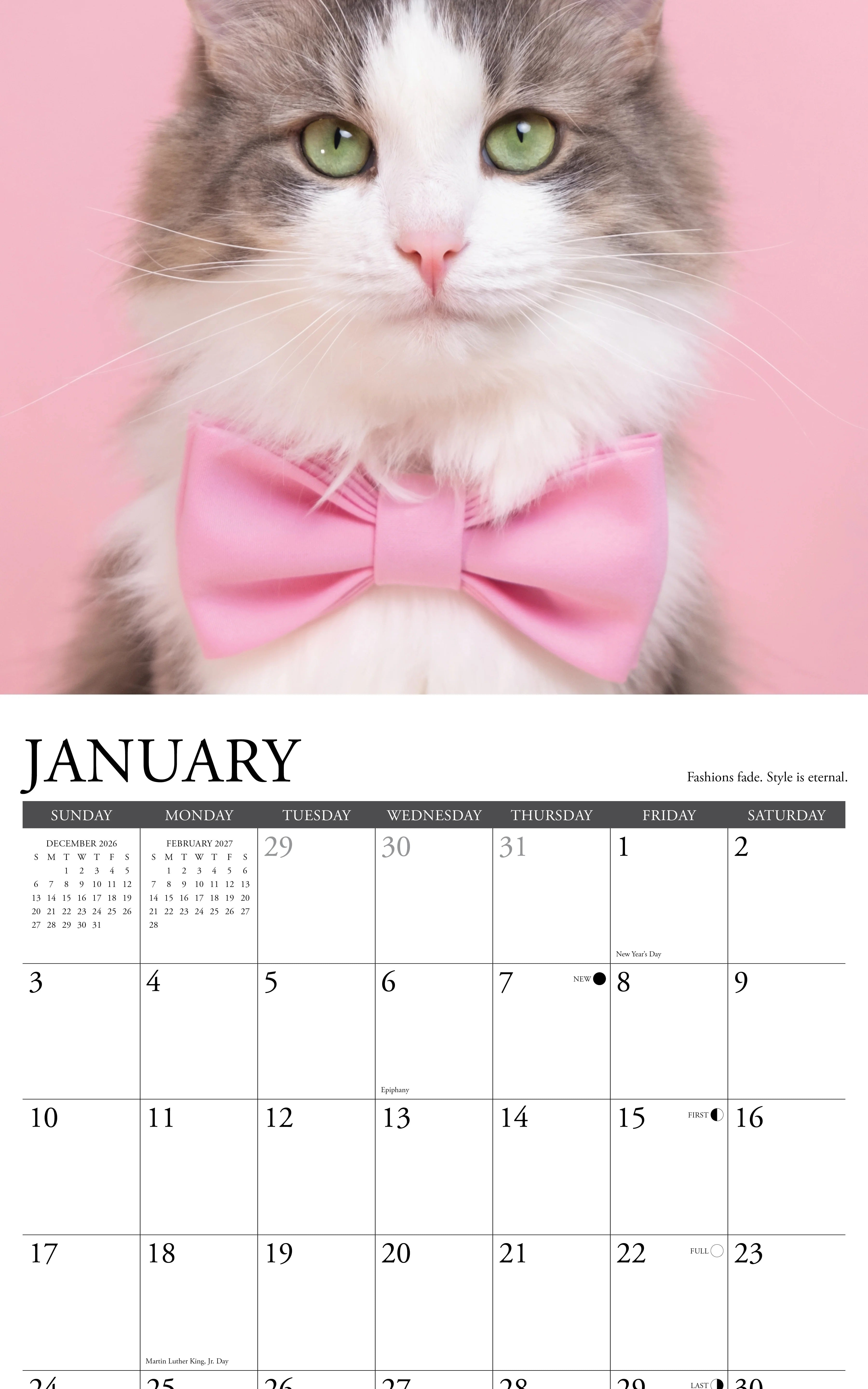 2027 What Cats Teach Us Wall Calendar 12X12 20 9781549262883_1