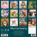 2027 What Cats Teach Us Wall Calendar 12X12 20 9781549262883_67a9f5fd-b61b-4fc1-92b6-c59bbe52c760