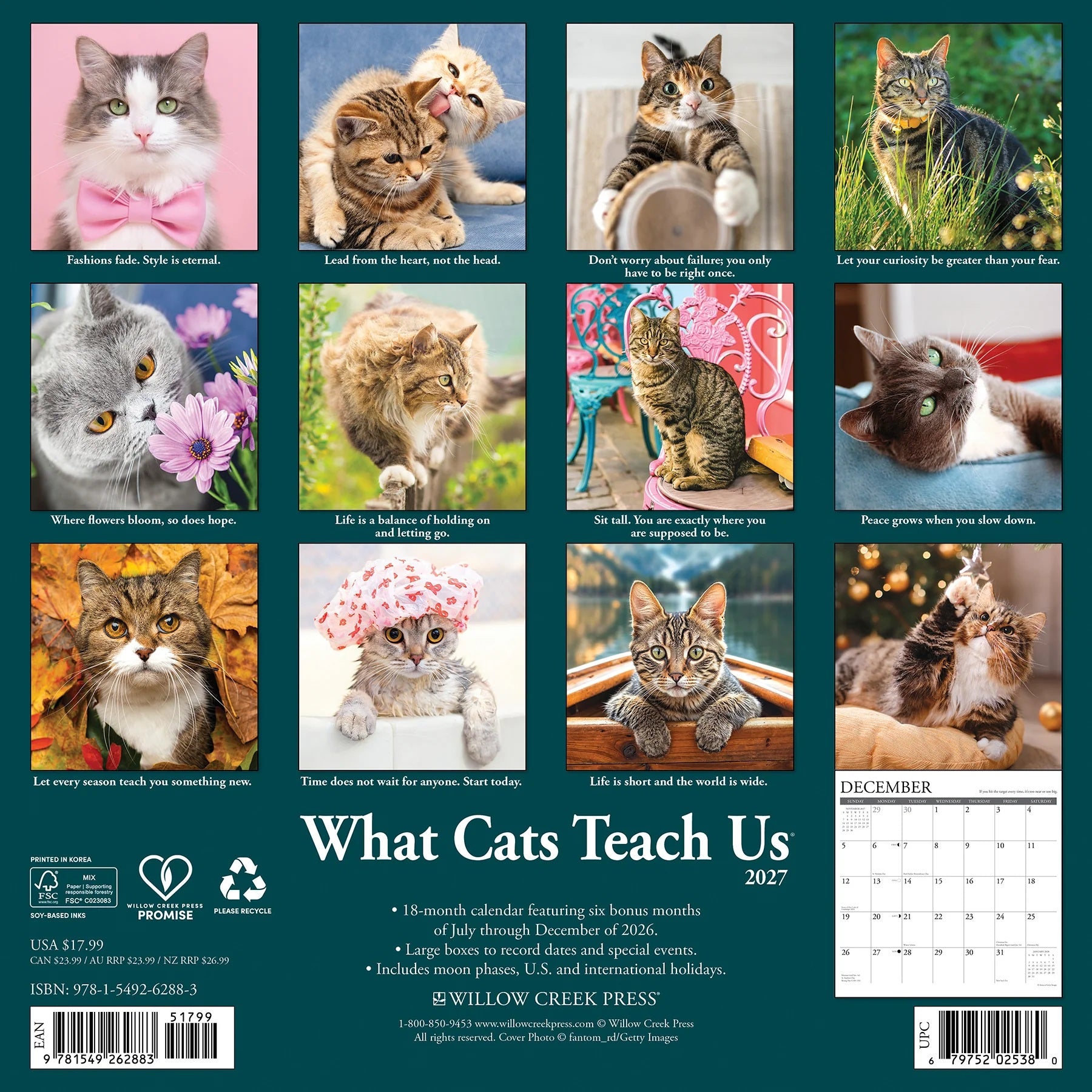 2027 What Cats Teach Us Wall Calendar 12X12