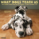 2027 What Dogs Teach Us Wall Calendar 12X12 20 9781549262890